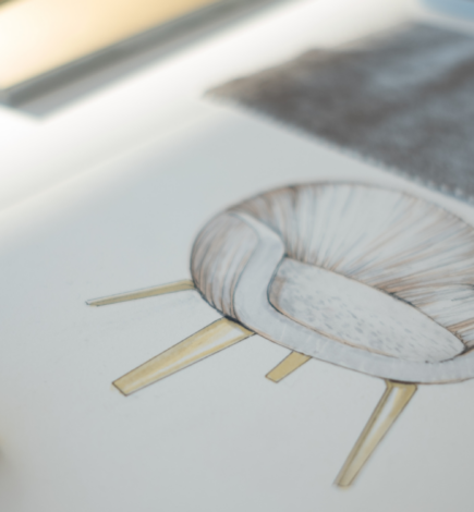 Descobrir o Glamour: Explore os Sofisticados Materiais e Acabamentos Jetclass