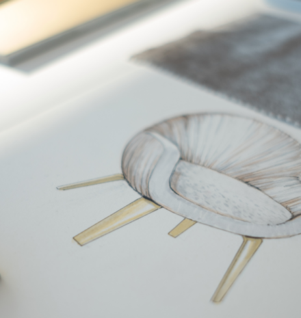 Unveiling Luxury: Exploring Jetclass’s Exquisite Materials & Finishes