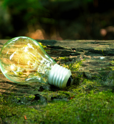 Crafting Sustainable Luxury: Jetclass’s Commitment to Environmental Responsibility