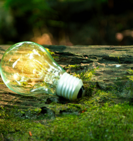 Crafting Sustainable Luxury: Jetclass’s Commitment to Environmental Responsibility